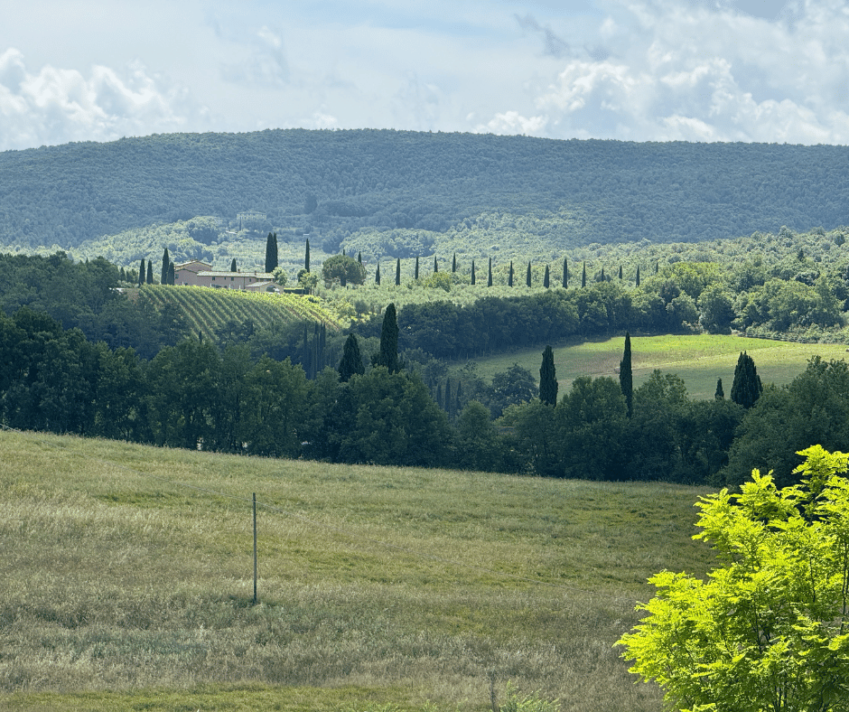 toscaans landschap gezien vanaf Monteriggioni